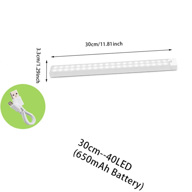 Alleoa| LED Rechargeable Motion Sensor Light